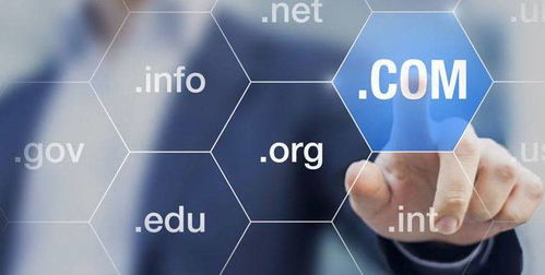 域名常見場景及選購技巧 互聯網信息服務指南